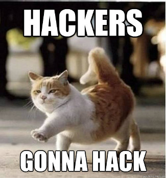 Hacker Cats